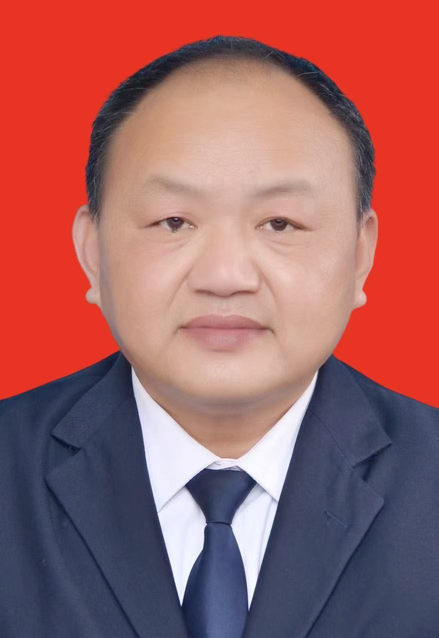 副会长王建军
